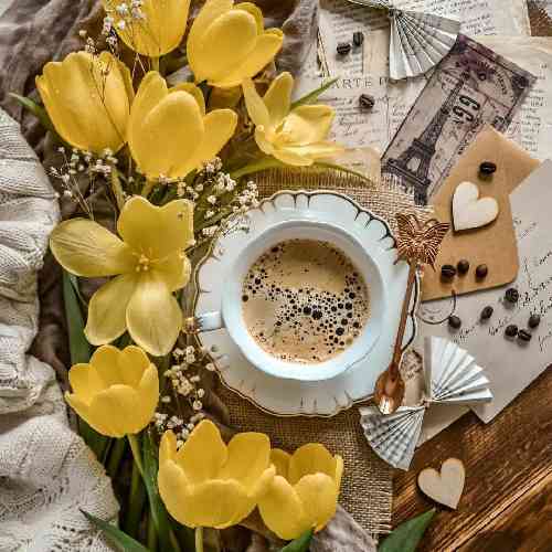 آرش خشنواز ببر بالا تو پیک آخرش کن غمش سنگینه